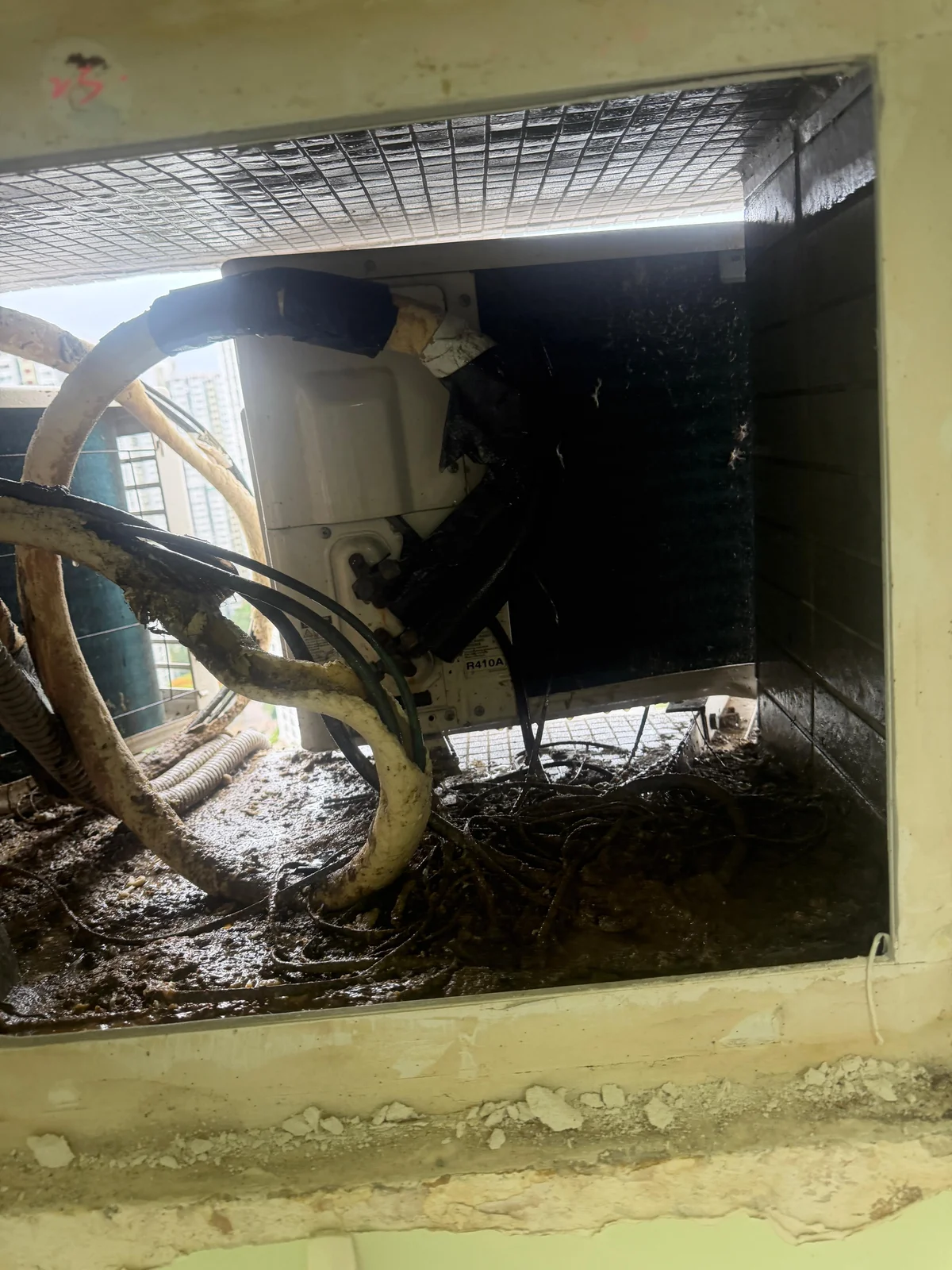 冷氣機被雀鳥滋擾完全攻略：驅鳥・清巢・防護