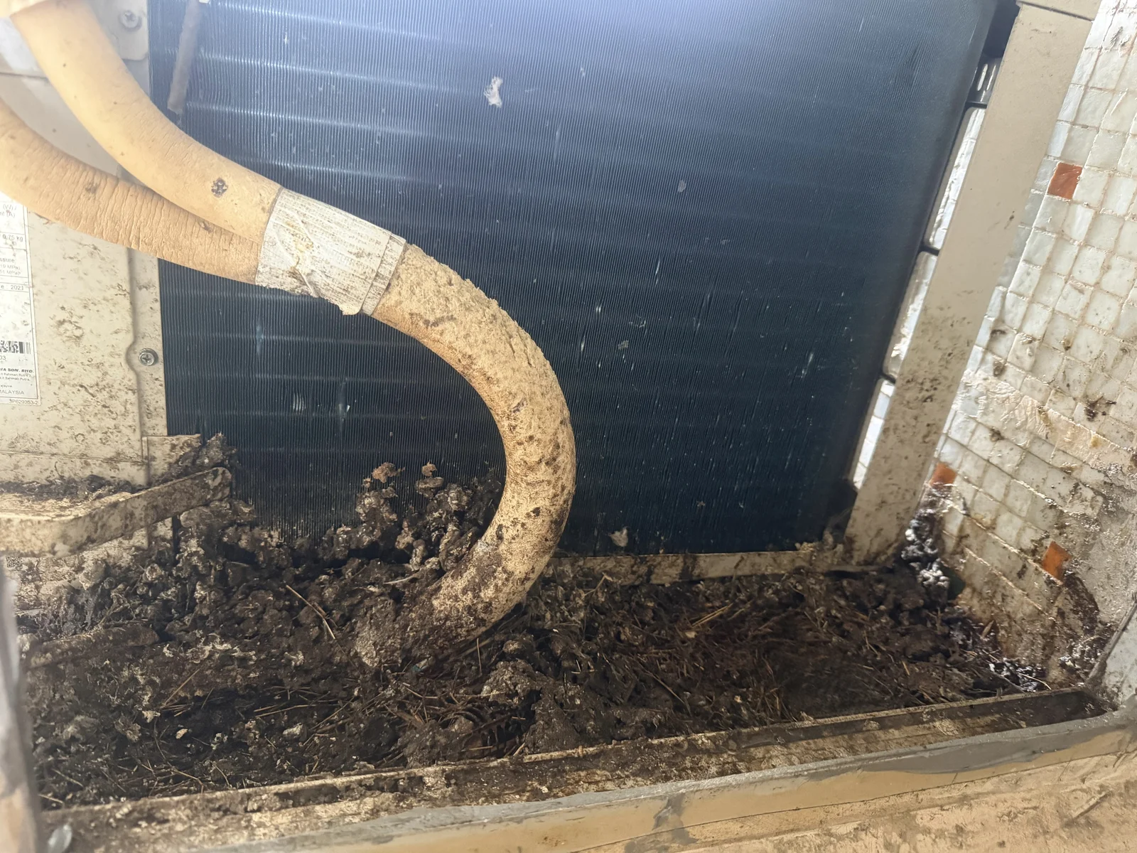 藍田｜冷氣驅鳥工程