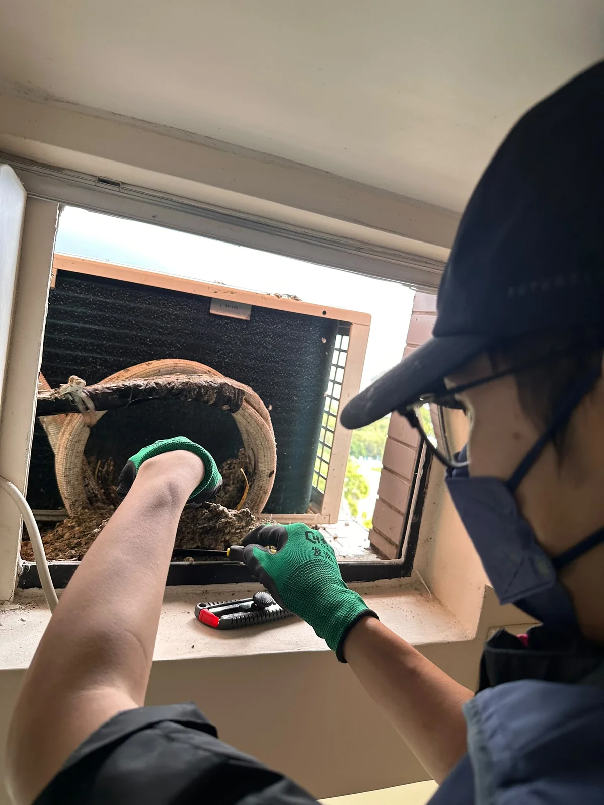 冷氣機有雀鳥築巢點算？清巢消毒到防護全流程