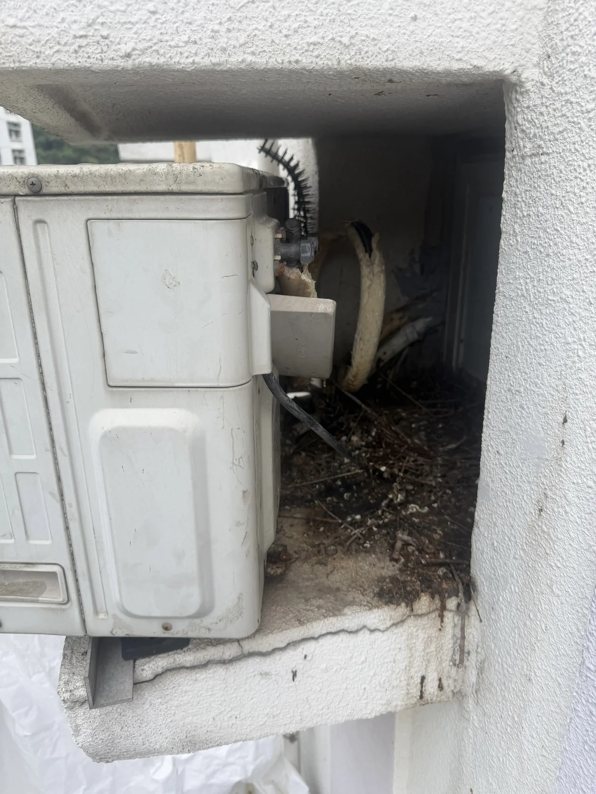 鑽石山｜冷氣驅鳥及防護工程